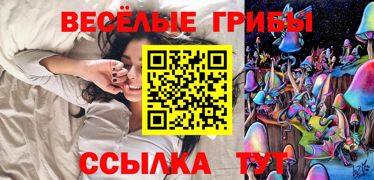 Галлюциногенные грибы Psilocybine cubensis Реутов