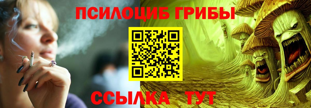 Галлюциногенные грибы мицелий  Псилоцибиновые грибы Psilocybine cubensis  Вход с VPN  Реутов 